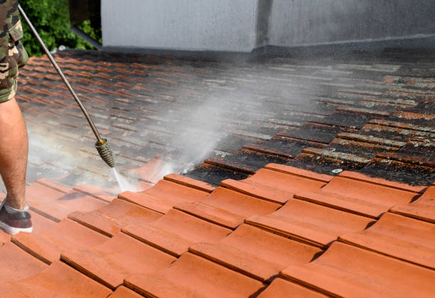 Best Roof Power Washing Services  in Port Orange, FL
