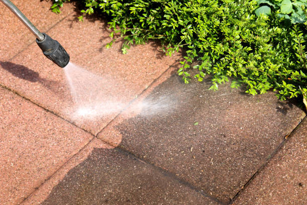 Best Fence Pressure Washing  in Port Orange, FL